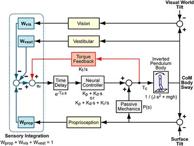 Implementation of a Central Sensorimotor Integration Test for Characterization of Human Balance Control During Stance